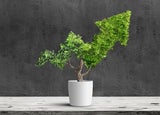 how to run a carbon neutral business